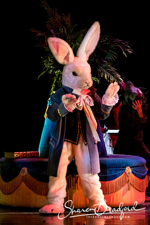 Nutcracker Battle eve pc Sharen Bradford-6586