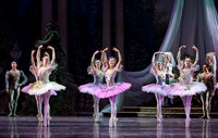 TB Sleeping Beauty Wed.-0074