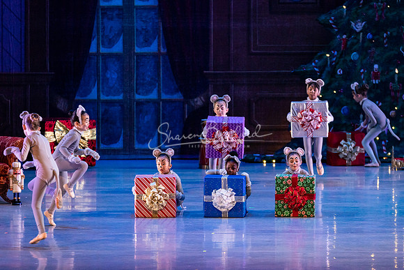 CPA Nutcracker Battle Sun 2023 pc Sharen Bradford-4144