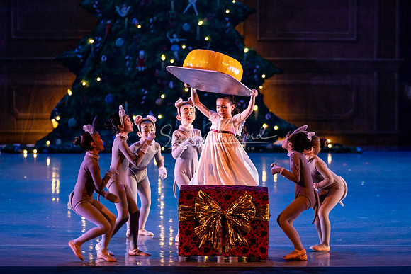CPA Nutcracker Battle Sun 2023 pc Sharen Bradford-4202