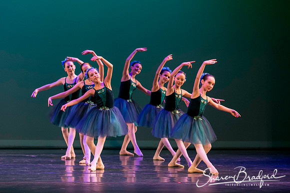 Khachaturian Waltz pc Sharen Bradford-3703