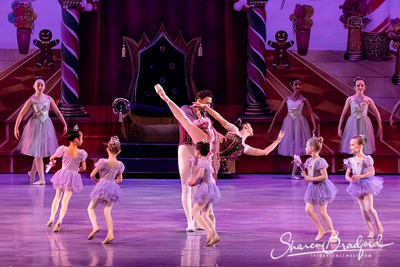 CCBT Nutcracker 19 pc Sharen Bradford-5373