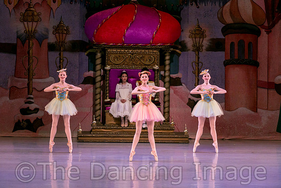 IMG_2347