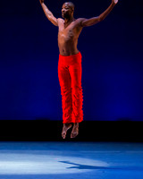 Alvin Ailey ADT-0043