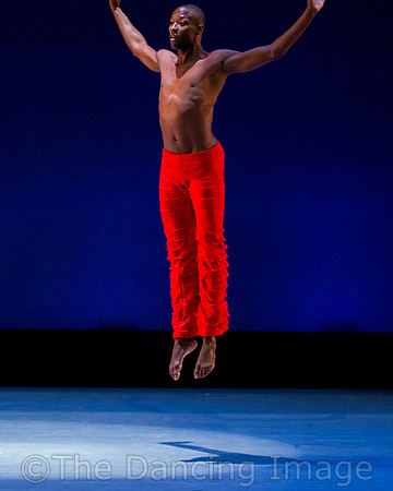 Alvin Ailey ADT-0043