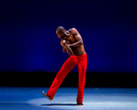 Alvin Ailey ADT-0030