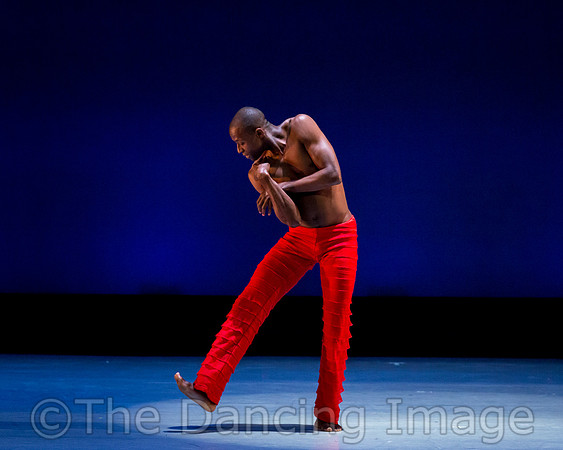 Alvin Ailey ADT-0030