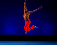 Alvin Ailey ADT-0040