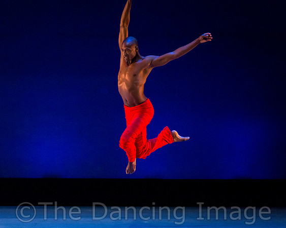 Alvin Ailey ADT-0040