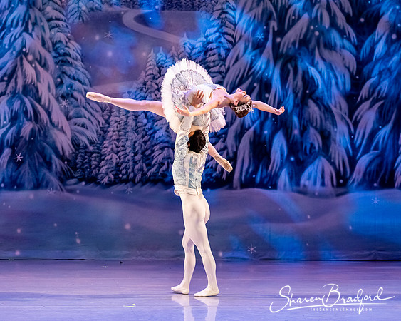CCBT Nutcracker 19 pc Sharen Bradford-4861