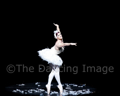 Dying Swan-0529