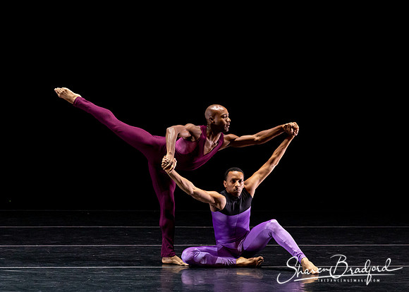 DBDT Execution of a Sentiment pc Sharen Bradford-0962