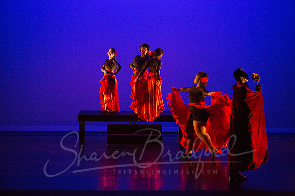 Bajo la Tormenta pc Sharen Bradford-0153