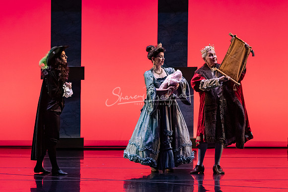 Ballet NTX Sleeping Beauty pc Sharen Bradford-0007