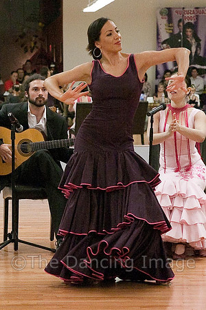 Flamenco-2-11