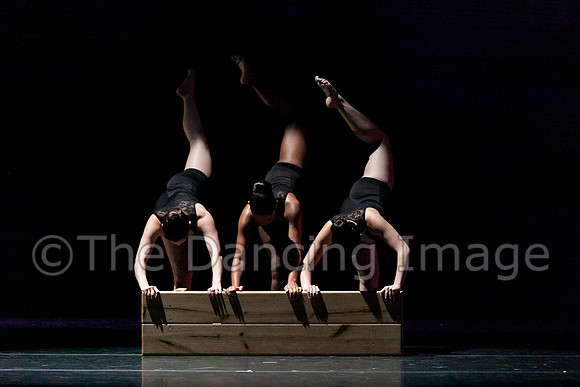 Beaumont Ballet Theatre-4620