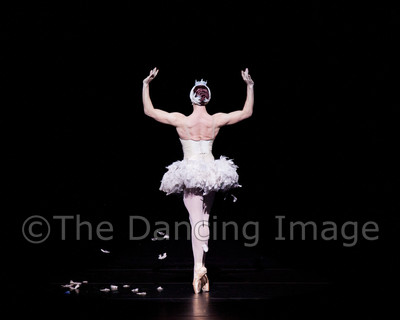 Dying Swan-0490