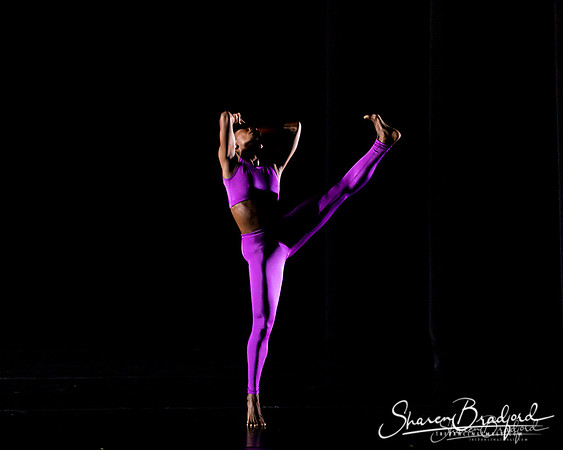DBDT Execution of a Sentiment pc Sharen Bradford-0976
