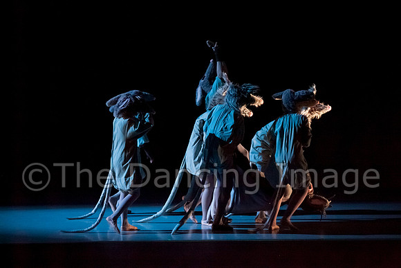 CPA Sat Nutcracker-4455