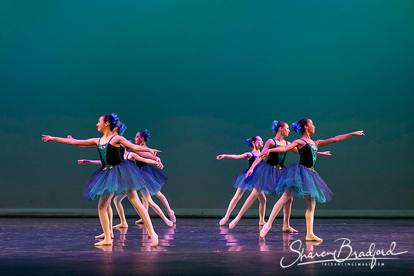 Khachaturian Waltz pc Sharen Bradford-3655