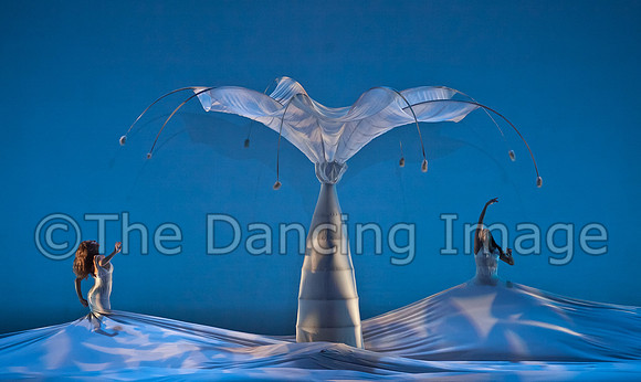 Botanica-0048