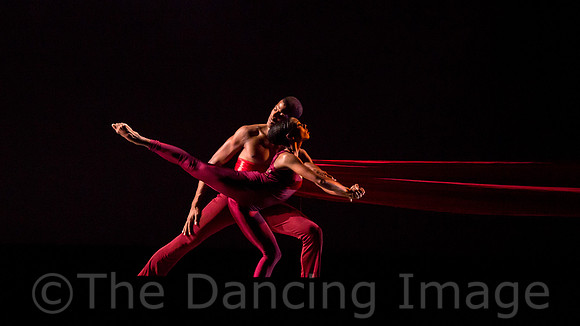 DBDT Encore-8681