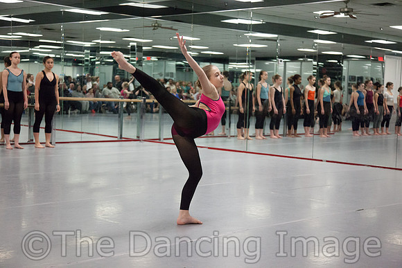 IMG_2393