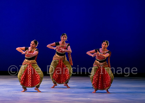 Indique-0497