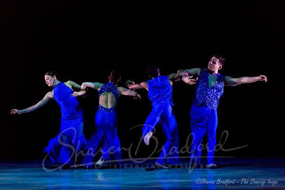 Following Echoes - pc Sharen Bradford-0814