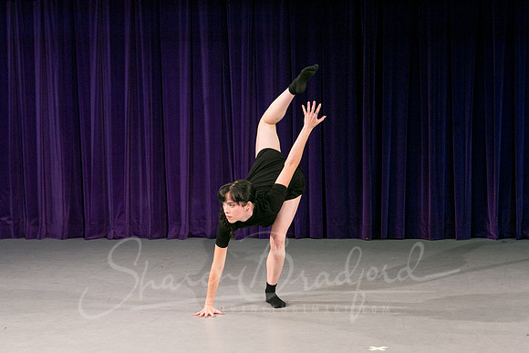 Gold Shadow pc Sharen Bradford-1633