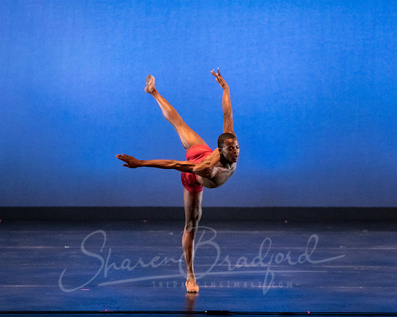 DBDT Encore pc Sharen Bradford-5128