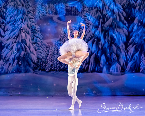CCBT Nutcracker 19 pc Sharen Bradford-4820