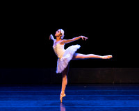 Dying Swan pc Sharen Bradford-1208