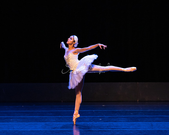 Dying Swan pc Sharen Bradford-1208