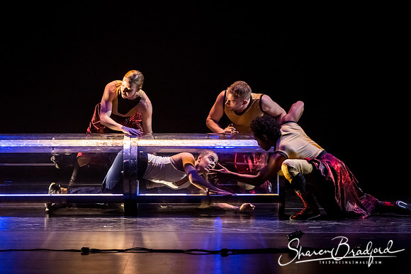 DIAVOLO - Voyage pc Sharen Bradford-0141