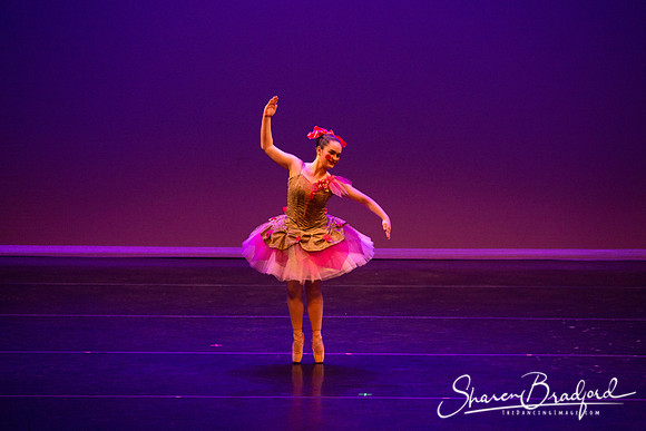 Clara's Dream 2019 pc Sharen Bradford-0071