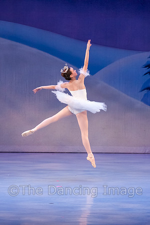 CPA Sat Nutcracker-4501