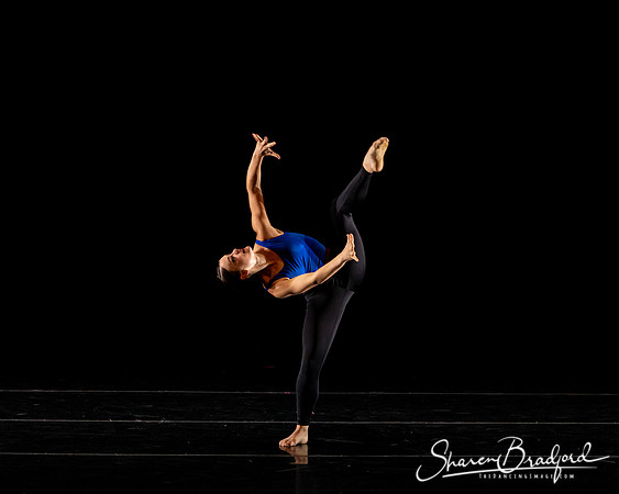 DBDT Execution of a Sentiment pc Sharen Bradford-1037
