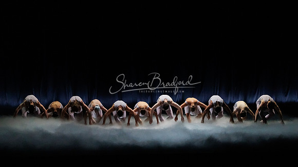 BWD And Heaven and Nature 2023 pc Sharen Bradford-3337