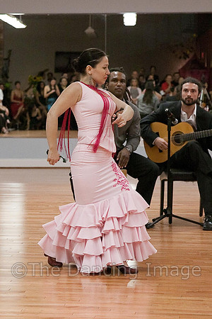 Flamenco-2-73