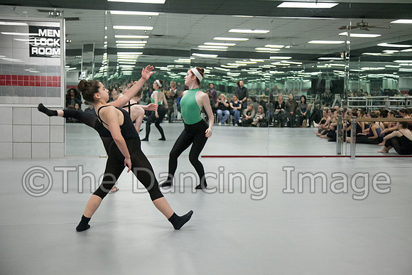 IMG_3446