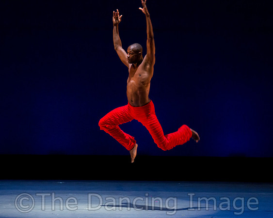 Alvin Ailey ADT-0068