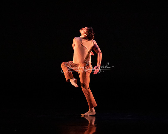 RECURRENCE pc Sharen Bradford-0865
