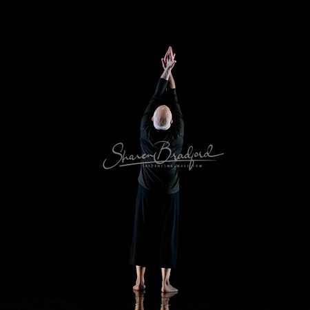 Nocturne pc Sharen Bradford-0712