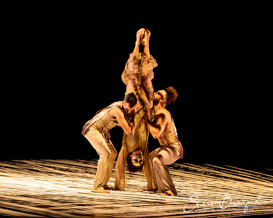 Delfos Danza pc Sharen Bradford-0431