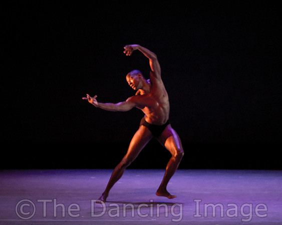 Alvin Ailey ADT-2309