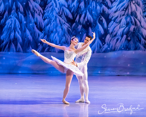 CCBT Nutcracker 19 pc Sharen Bradford-4833