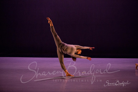 Lingering Shadow pc Sharen Bradford-7089