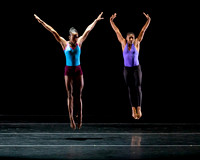 DBDT Execution of a Sentiment pc Sharen Bradford-0940