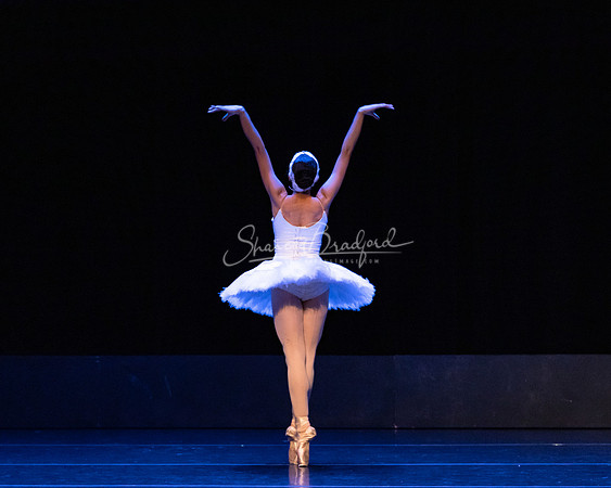 Dying Swan pc Sharen Bradford-1244
